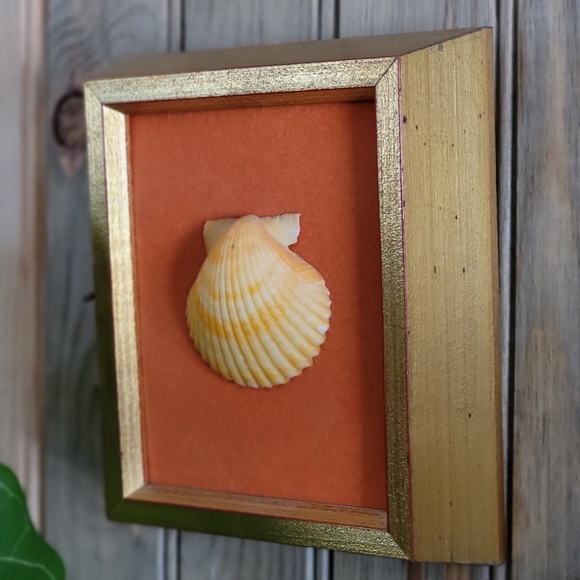Vintage shell art - Picture 3 of 4